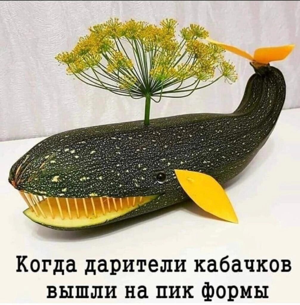 Когда дарители кабачков вышли на пик формы