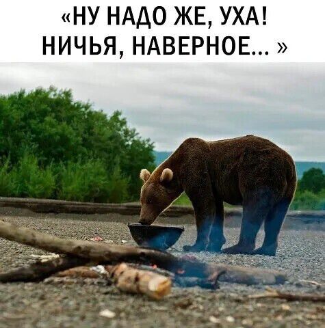 НУ НАДО ЖЕ УХА НИЧЬЯ НАВЕРНОЕ