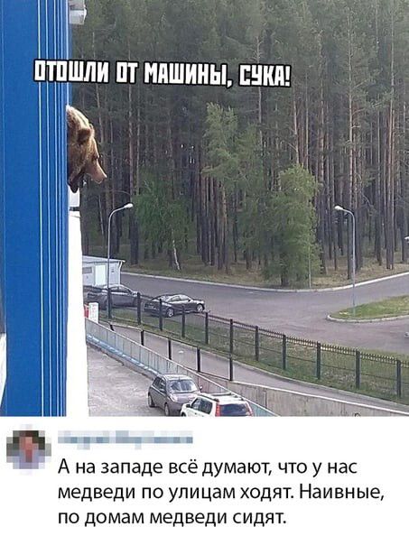 ПШШЛИ Т НПШИИЫ ШИН _ А на западе всё думают что у нас медведи по улицам ходят Наивные по домам медведи сидят