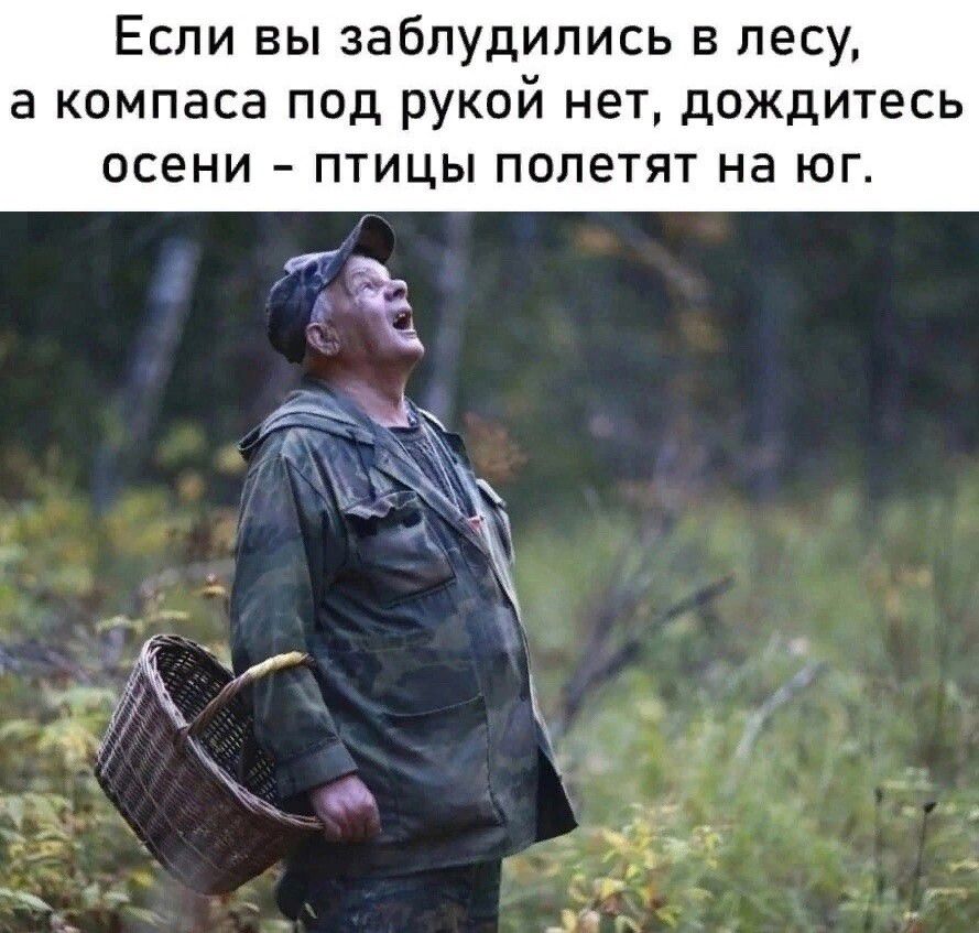 Если вы заблудились в лесу а компаса под рукой нет дождитесь осени ПТИЦЫ полетят на ЮГ