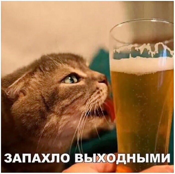 ЗАПАХЛО одНЫМ я