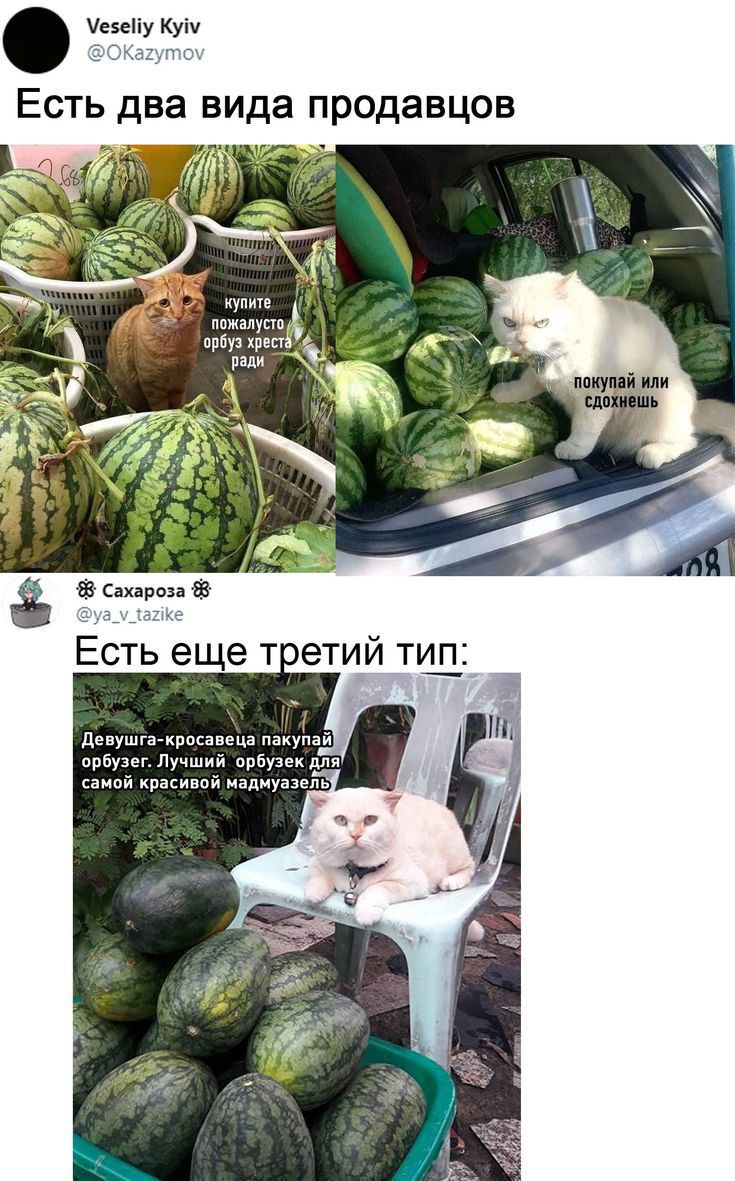 Уезеііу Куіч Есть два вида продавцов пвйп в англии ш Есть еще тетий туш