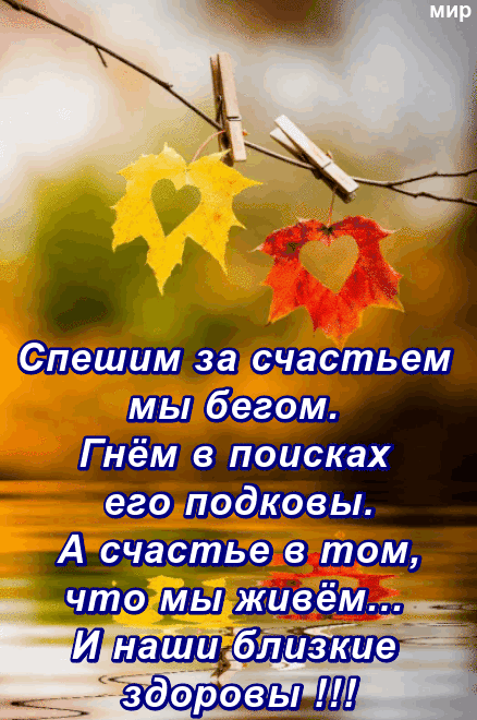 А счёстье в том что Шнлашибизкие _ здоровы Ш