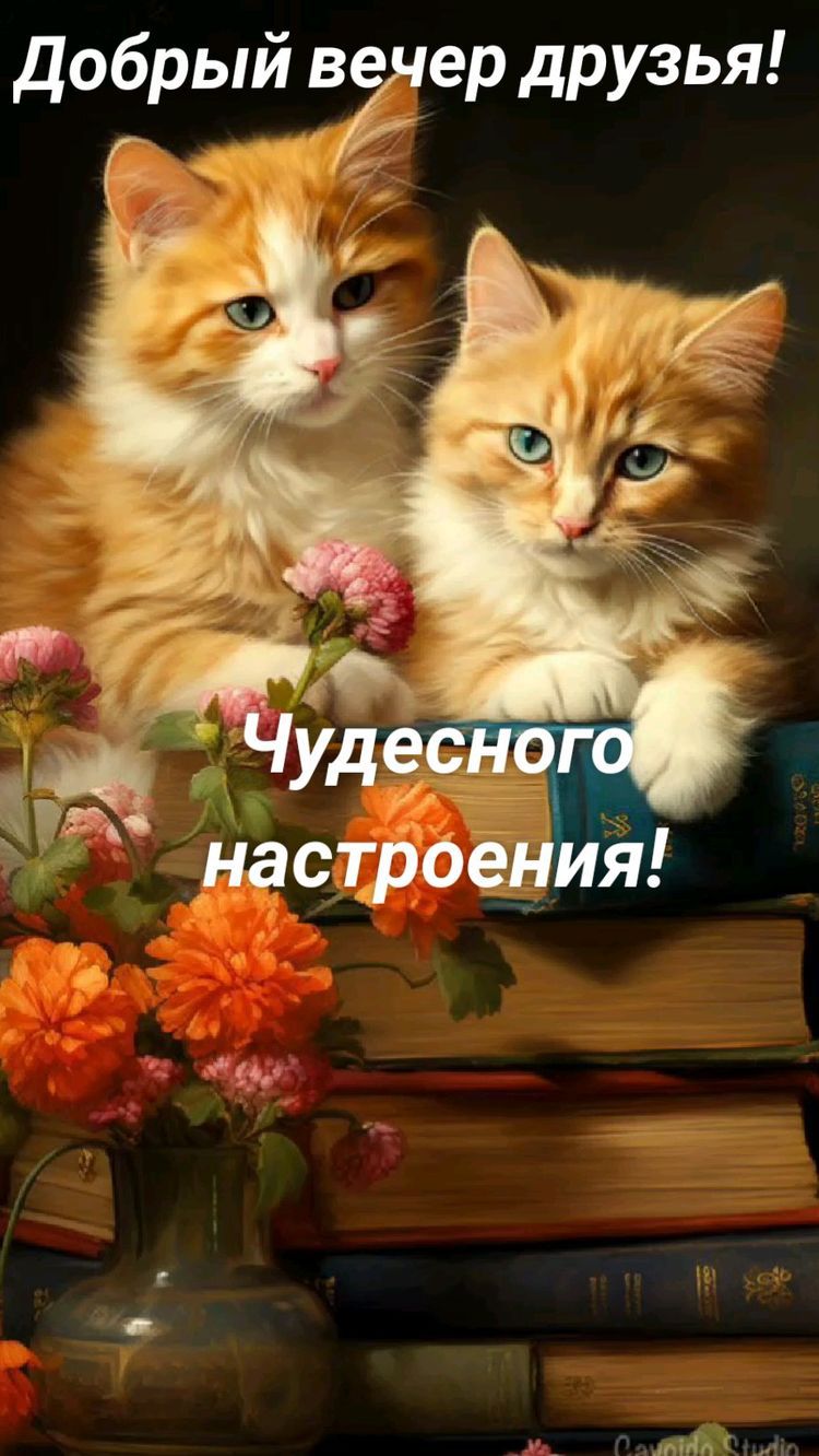 добрый агер друзья с у