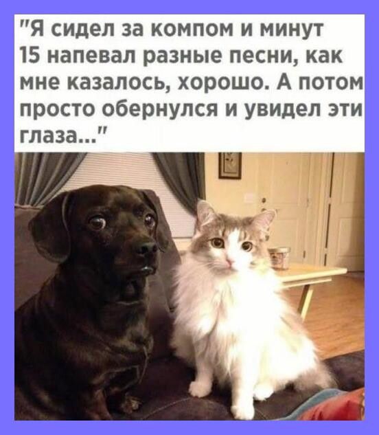 Я сидел за компом и минут 15 напевал разные песни как мне казалось хорошо А потом просто обернулся и увидел эти глаза