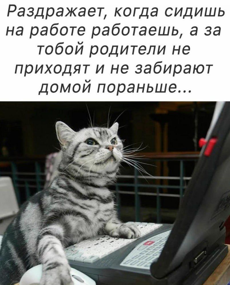 Раздражает когда сидишь на работе работаешь а за тобой родители не приходят и не забирают домой пораньше