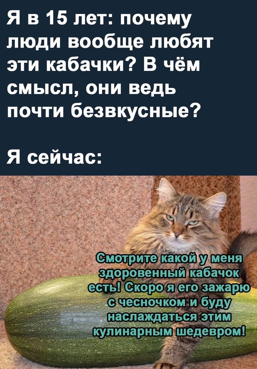Я в 15 лет почему люди вообще любят эти кабачки В чём смысл они ведь почти безвкусные Я сейчас