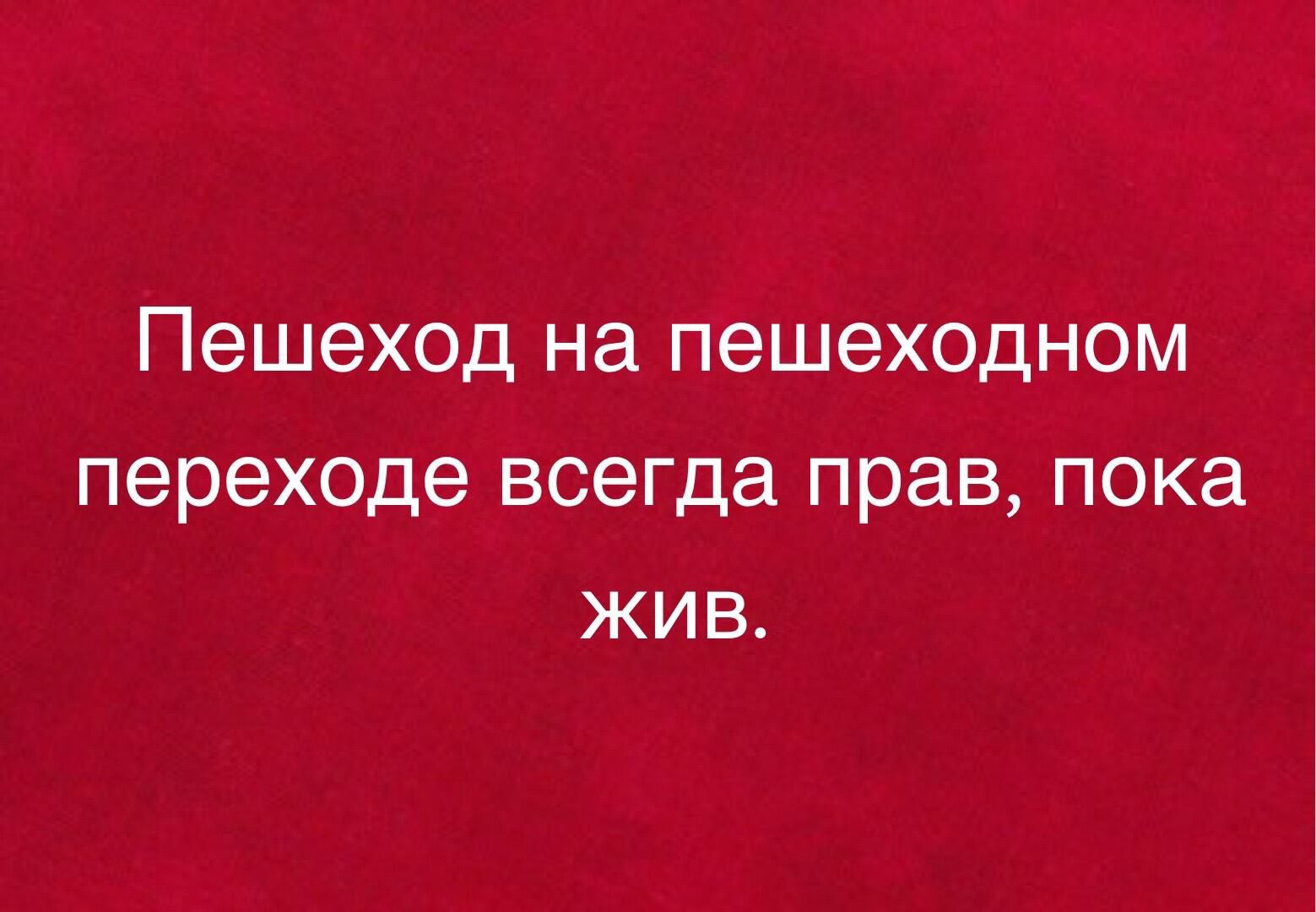 Пешеход на пешеходном переходе всегда прав пока жив