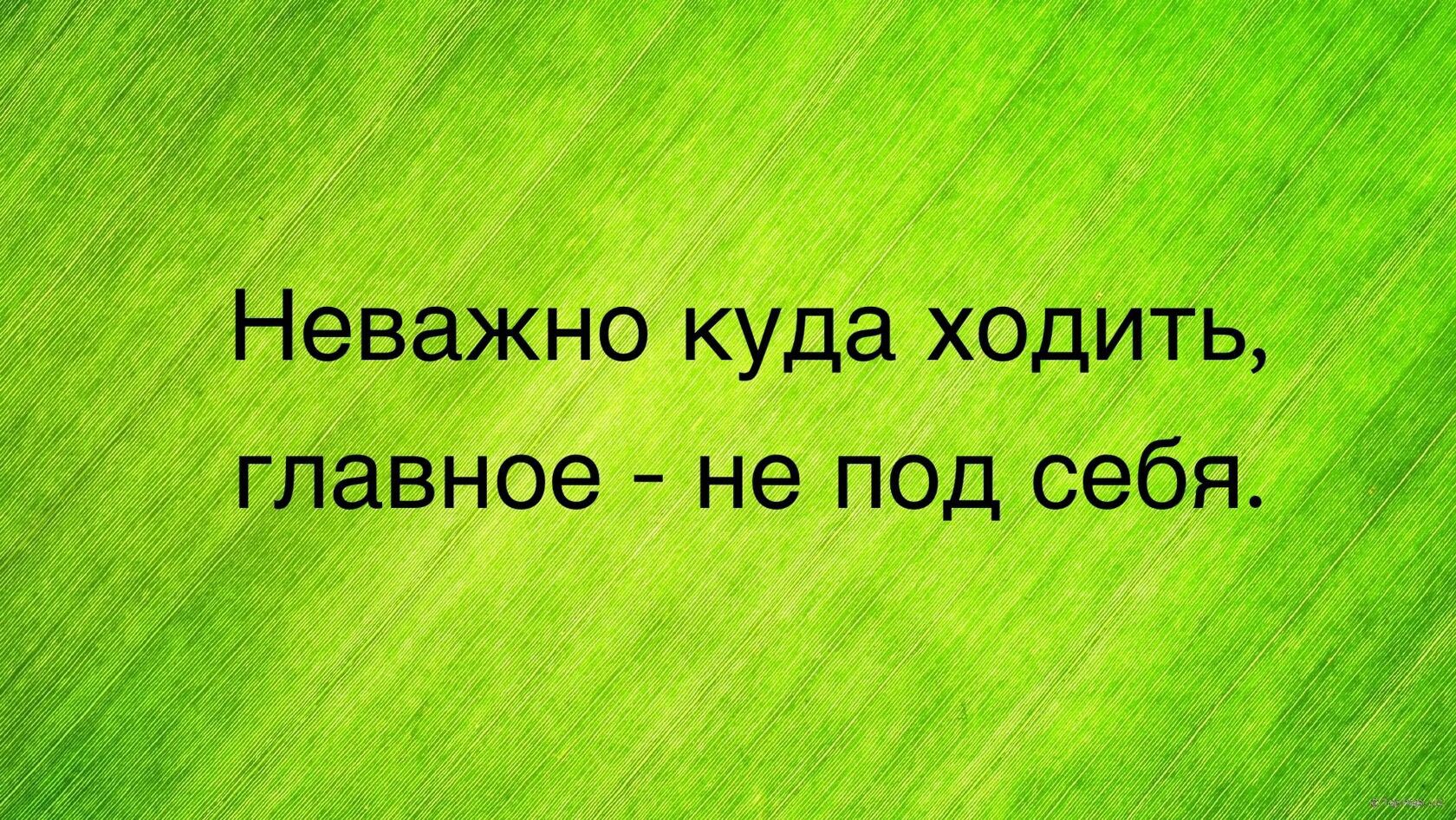 полная поддержка дота куда идти фото 82