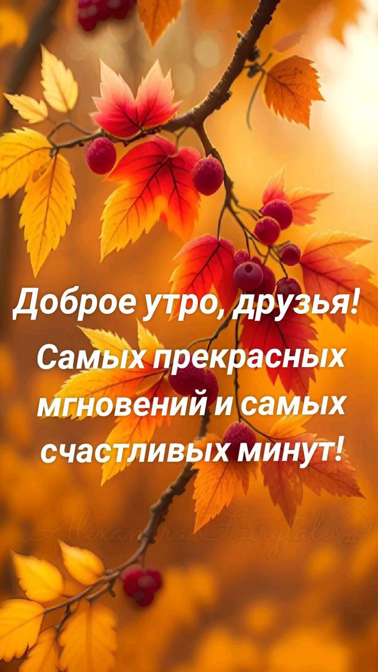 зум доброе утро друзья Самых прекрасных мгновений и самых счастливых минут