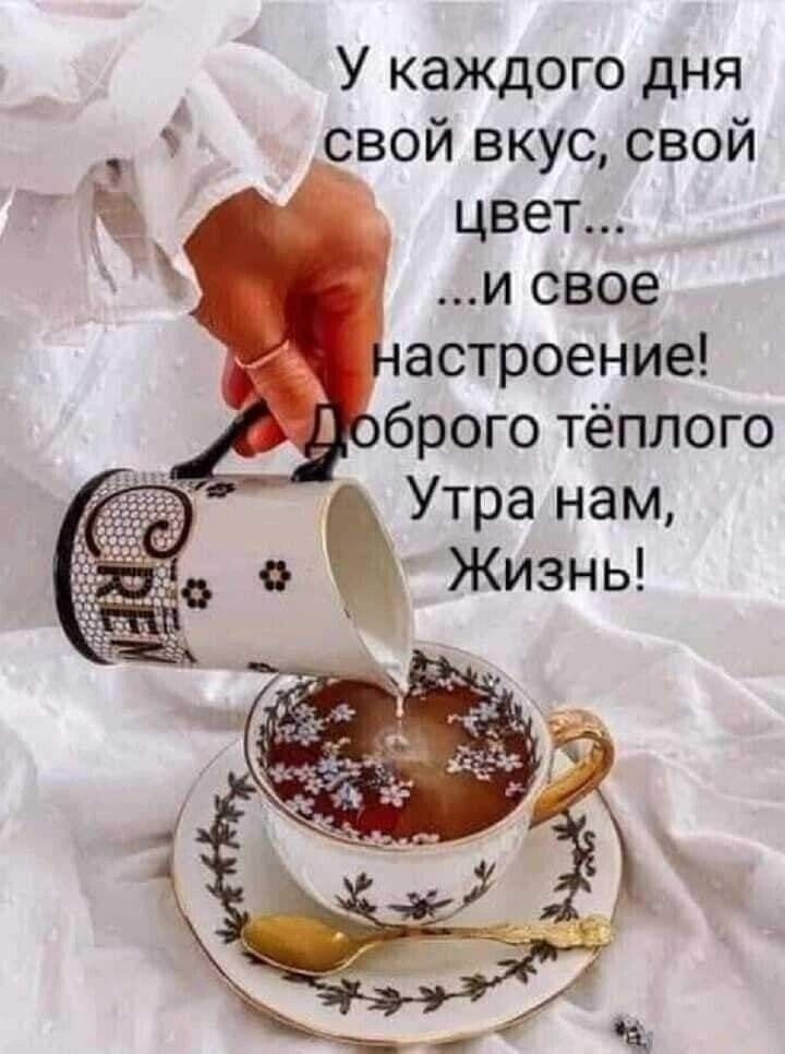 У каждого дня свой вкус свой цвет и свое астроение брого тёплого Утра нам Жизнь
