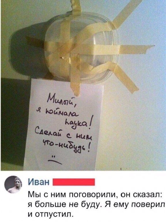 Мат Спид _ по _833 Иван Мыс ним поговорили он сказал я больше не буду Я ему поверил и отпустил