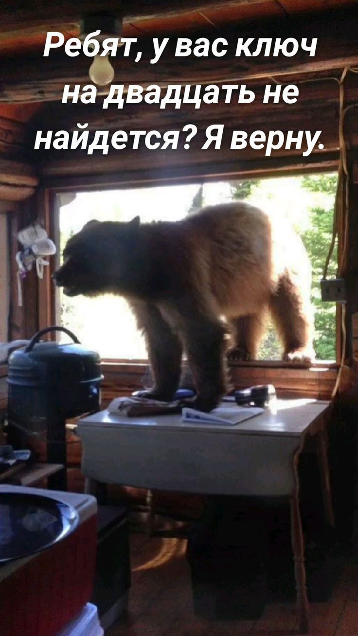 Рёбят у вас ключ И ду надзадцаіь не найдетсяЯ верну П