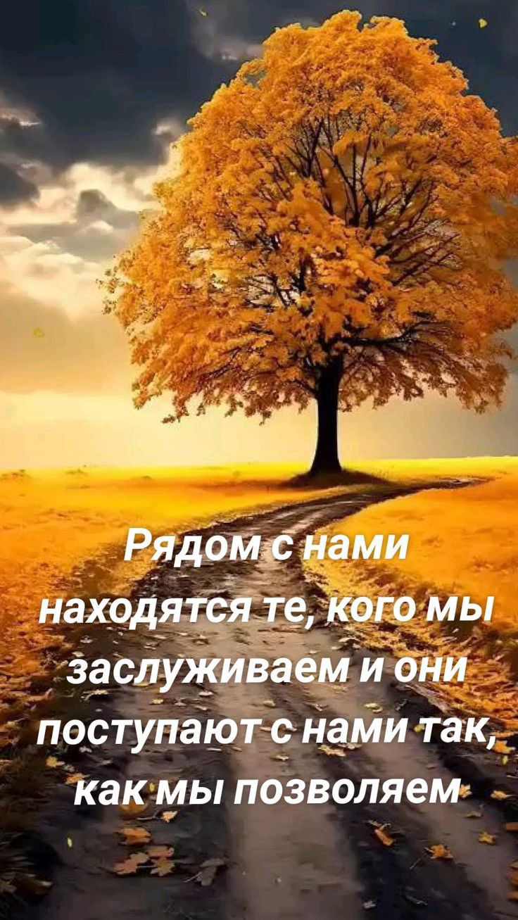Какмы воляет