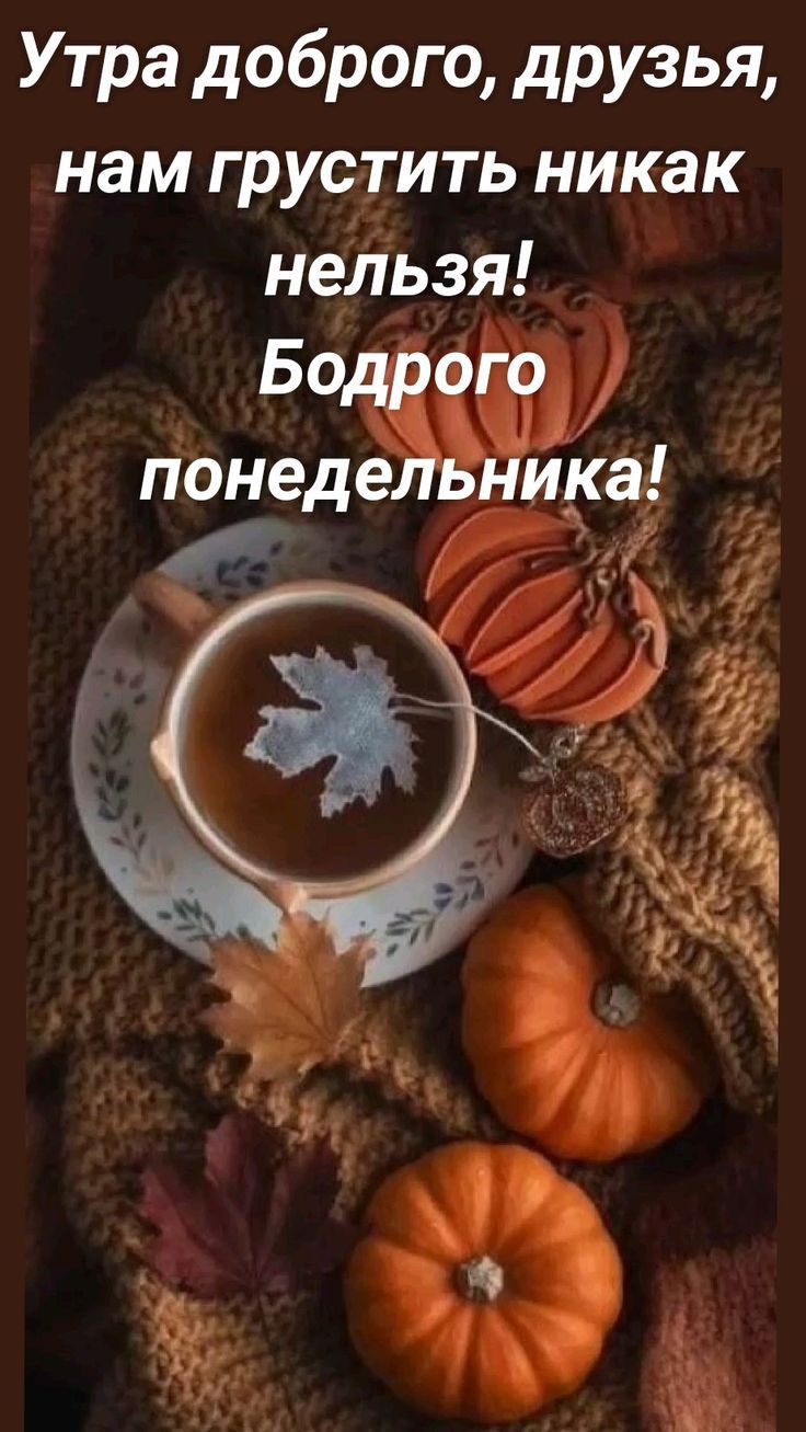 Утра доброго друзья нам грустить никак нельзя Бодрого понедельника