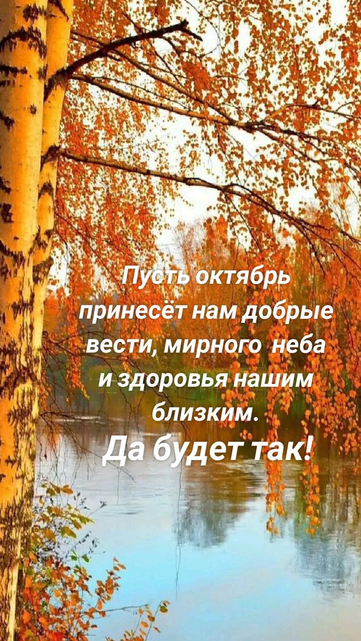 а принесёт нам добрые вести мирного неба и здоровья нашим _ близким ерак