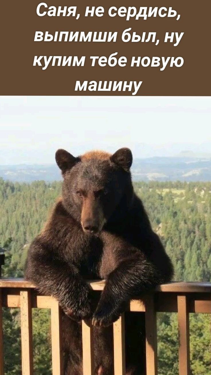 Саня не сердись выпимши был ну купим тебе новую машину
