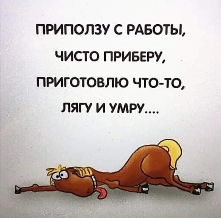 ПРИПОЛЗУ С РАБОТЫ ЧИСТО ПРИБЕРУ ПРИГОТОВЛЮ ЧТО ТО ЛЯГУ И УМРУ