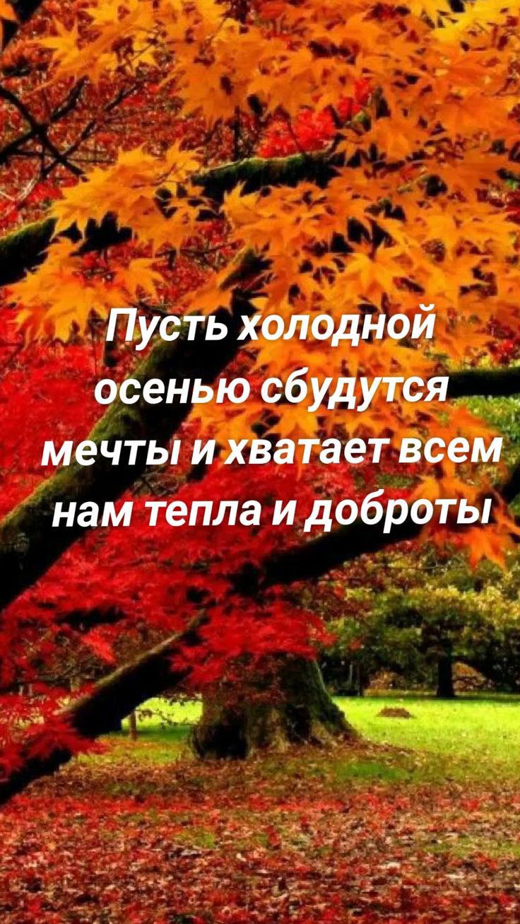 Пусть холодной осенью сбудутся мечты и хватает всем нам тепла и доброты