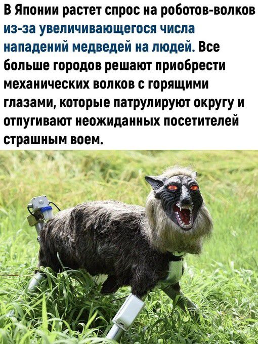 В Японии растет спрос на роботов волков из за увеличивающегося числа нападений медведей на людей Все больше городов решают приобрести механических волков с горящими глазами которые патрулируют округу и отпугивают неожиданных посетителей страшным воем _ п