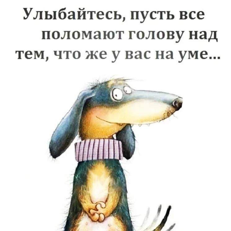 Улыбайтесь пусть все поломают голову над тем что же у вас на уме