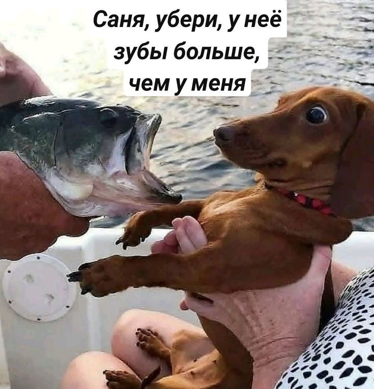 Саня убери унеё _ зубы больше чем у меня
