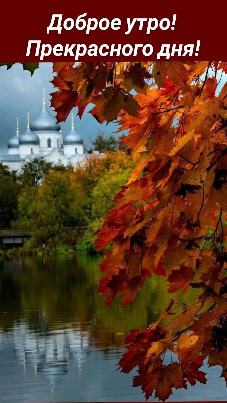 Доброе утро Прекрасного дня