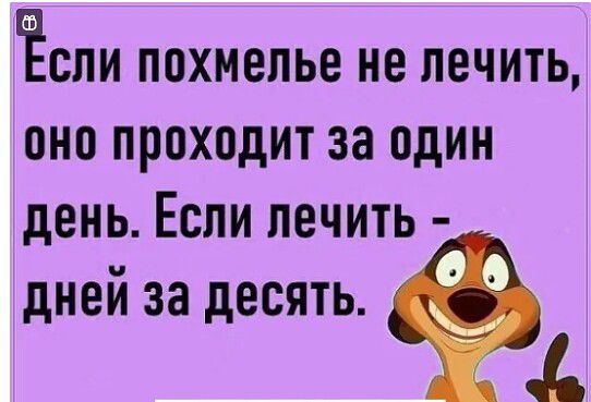ЁСЛИ ПОХМЕПЬЕ не ЛЕЧИТЬ ОНО ПРОХОДИТ 38 ОДИН день ЕСЛИ ЛВЧИТЬ дней за десять