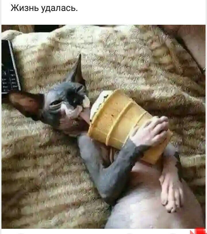 ь с а п а д У ь н 3