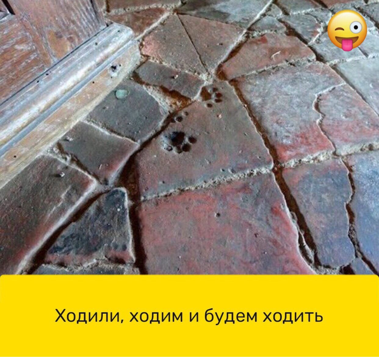 Ходили ходим и будем ходить