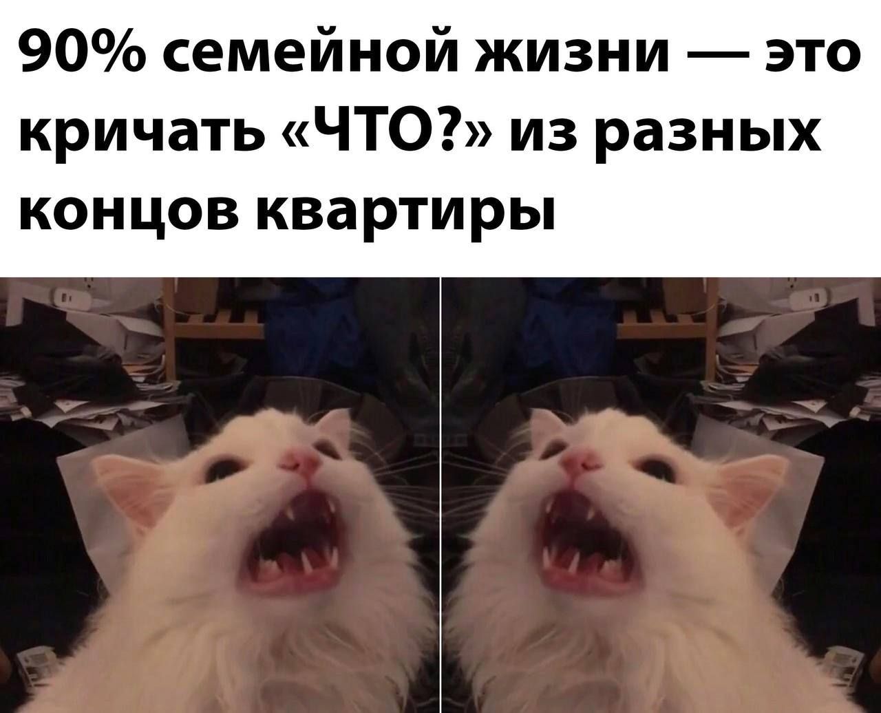 90 семейной жизни это кричать ЧТО из разных КОНЦОВ квартиры