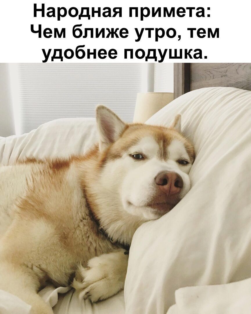 Народная примета Чем ближе утро тем удобнее подушка А Р