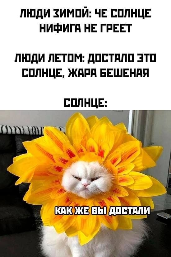 люди зимпй чъ ппнш нишигп нв гпвгг ЛЮДИ ПЕТПМ дПБТдПП ЭТП БПЛНЦЕ ЖПРП ЕЕШЕНПЯ пдднцв