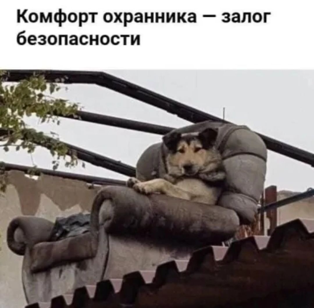 Комфорт охранника запог безопасности