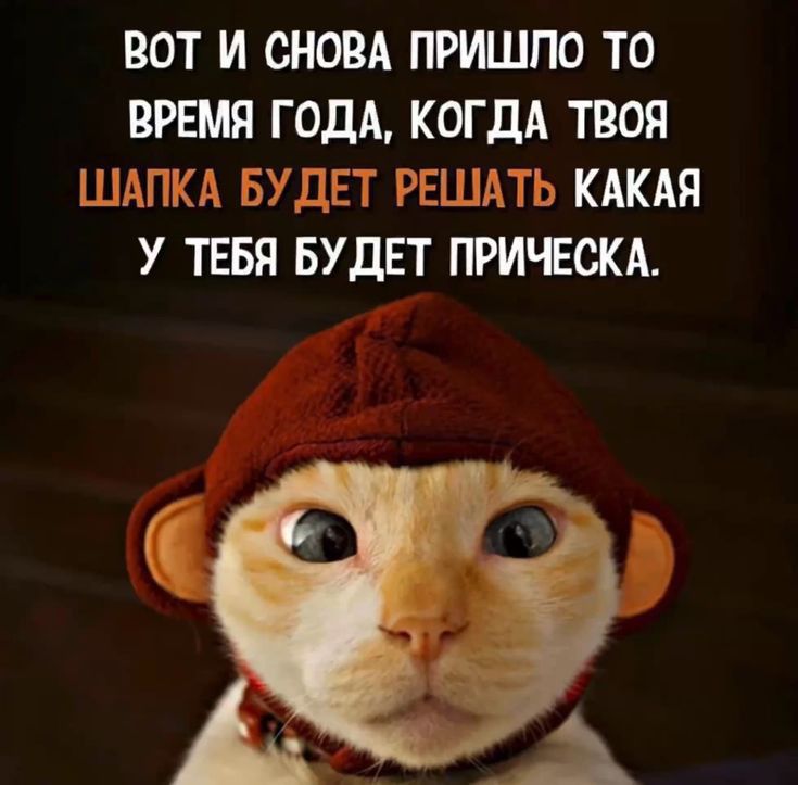 ВОТ И СНОВА ПРИШПО ТО ВРЕМЯ ГОДА КОГДА ТВОЯ ШАПКА БУДЕТ РЕШАТЬ КАКАЯ У ТЕБЯ БУДЕТ ПРИЧЕОКА