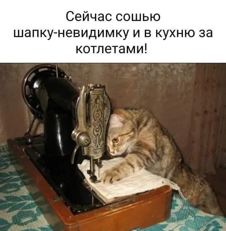 Сейчас сошью шапку невидимку и в кухню за котлетами