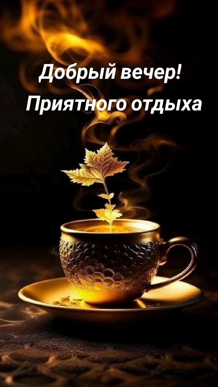 Дпбрый вечер Прияйе отдыха 9 и