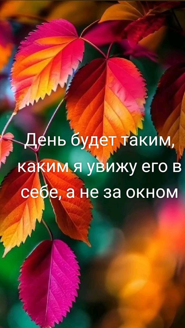 ь дет таким каки Ижу его в а Не за окноЖ