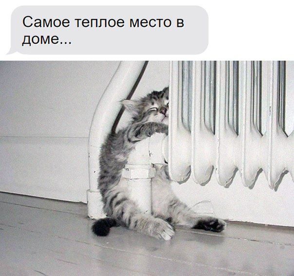СЗМОВ теплое место В