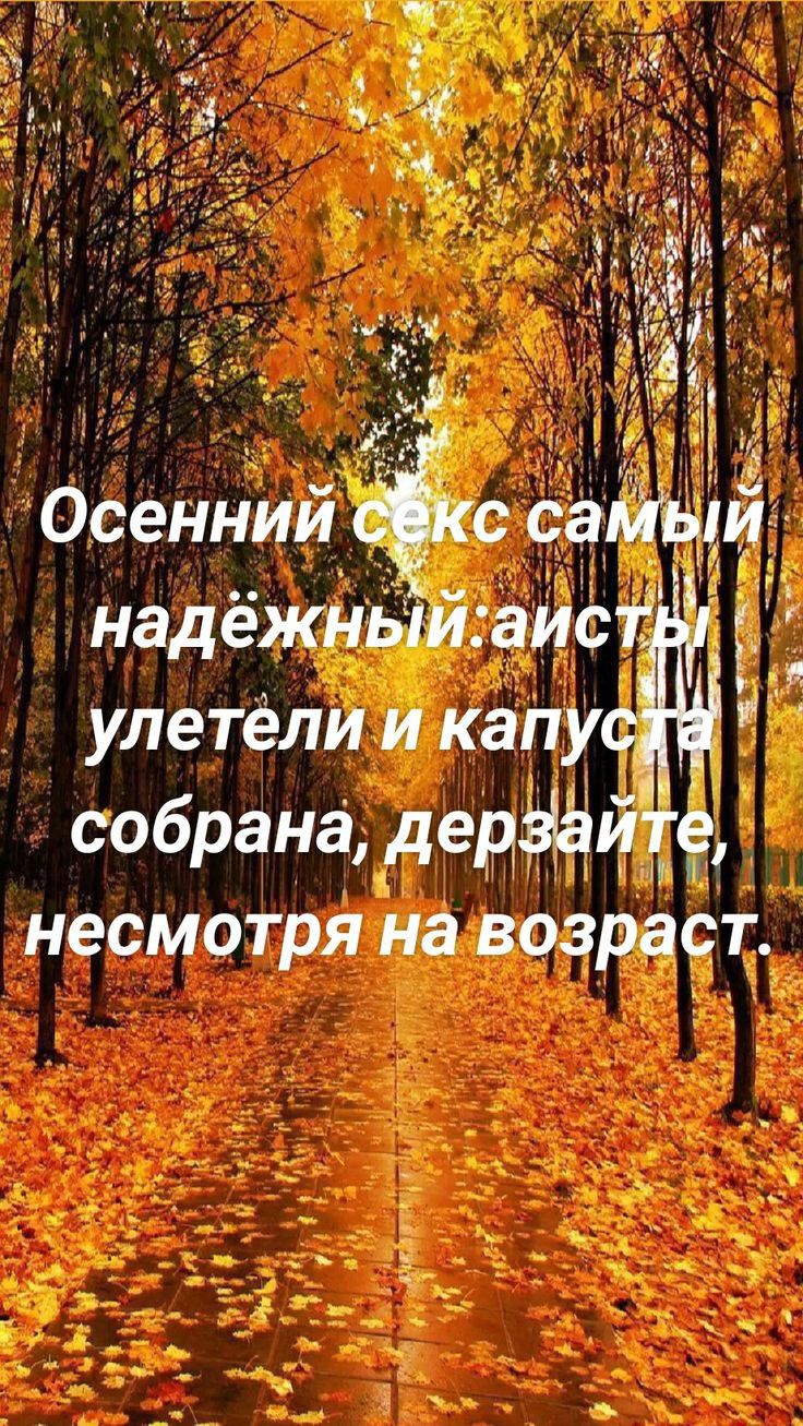 собрана дедфйгг несмотря на возраст