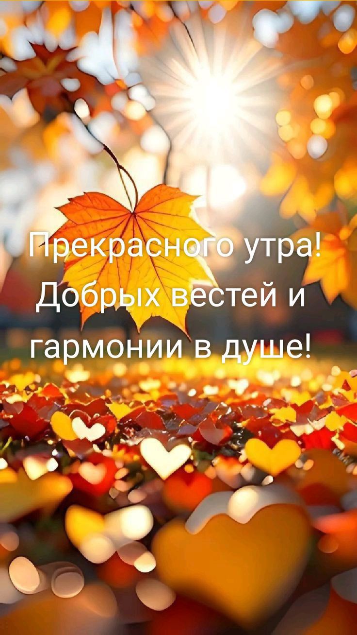 Добрых в тей и гармонии в душе о к о д _ __ _ ы