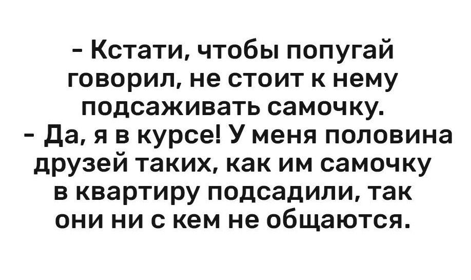 Кстати чтобы попугай говорил не стоит к нему подсаживать самочку да я в курсе У меня половина друзей таких как им самочку в квартиру подсадили так они ни с кем не общаются