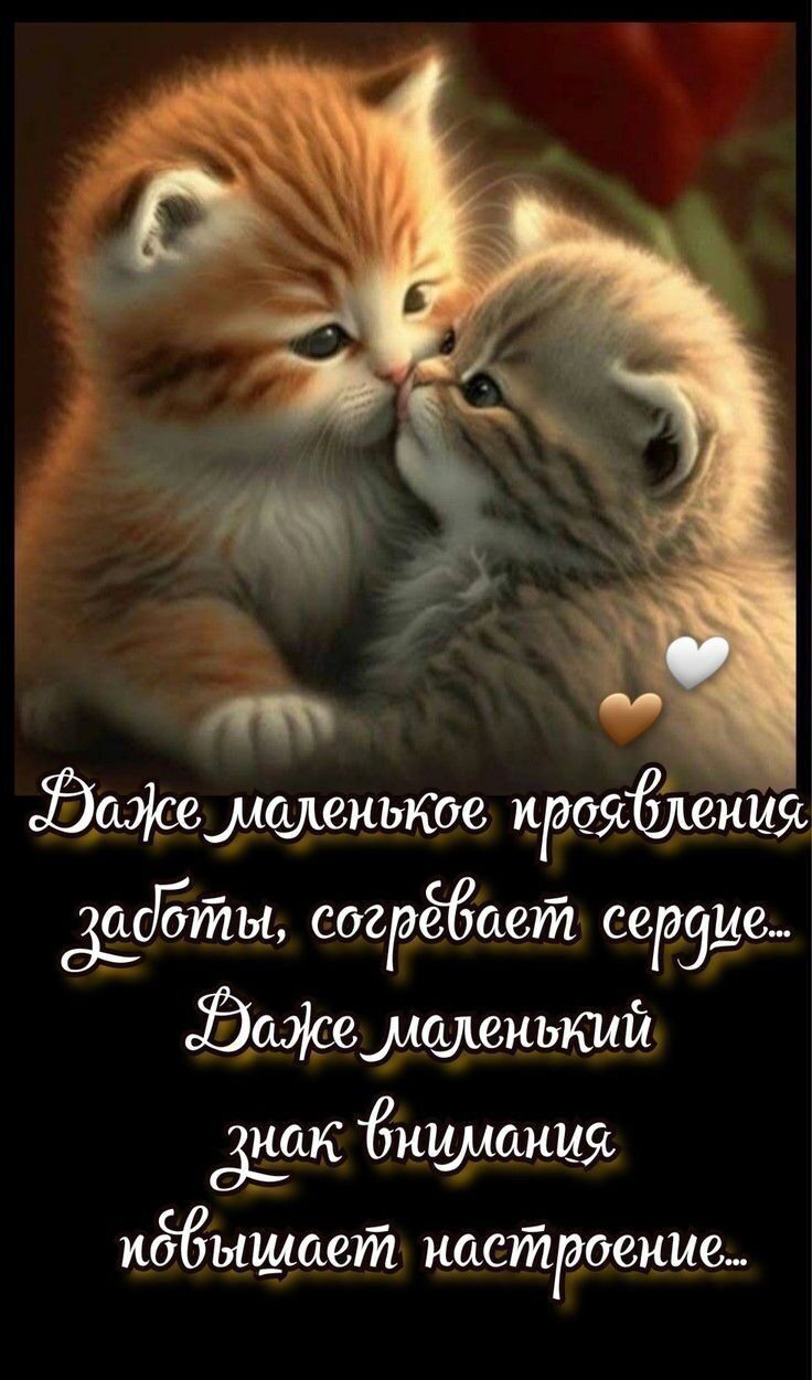 Эщшмшшиькое проябдъения 3365771171 согрёбает сети дюжемшиъюлй дук ишшнщс идвышает настроение