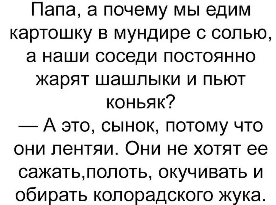 Папа а почему мы едим картошку в мундире с солью а наши соседи постоянно жарят шашлыки и пьют коньяк А это сынок потому что они лентяи Они не хотят ее сажатьлопоть окучивать и обирать колорадского жука