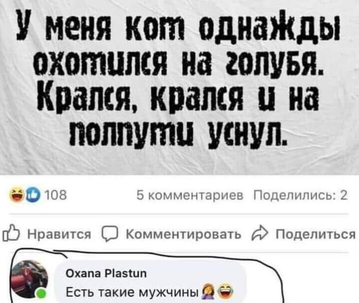 У меня кот однаЖды охотился на голувя Коапся кпапся на полпути уснул 50 м тд и Нрпвшсч к Кпмменнчшнаш Подишсч Они Ріазшп Есть такие мужчины ЯН