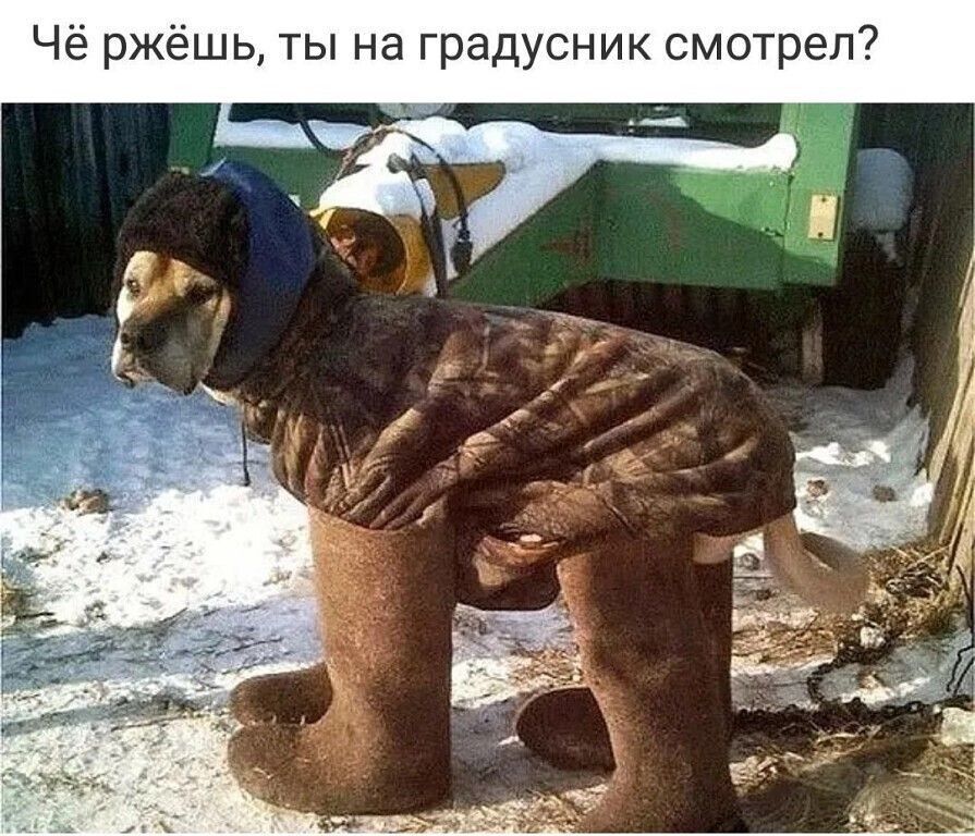 Чё ржёшь ты на градусник смотрел