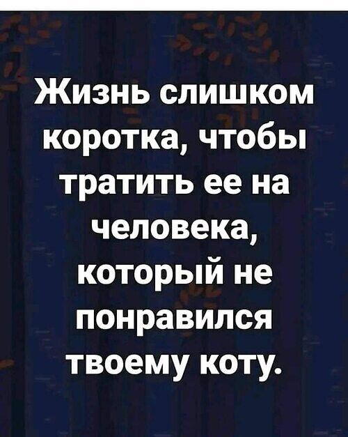 Жизнь слишком коротка чтобы тратить ее на человека который не понравился твоему коту