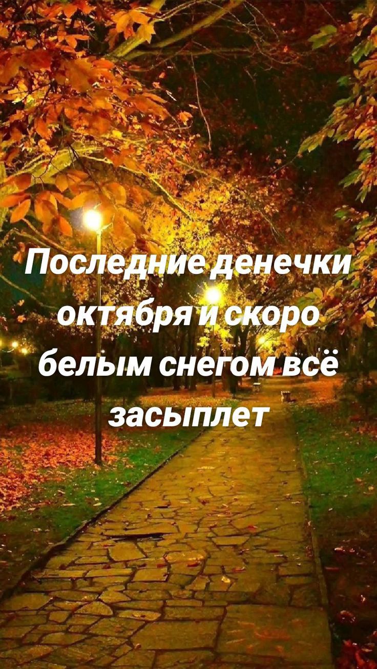 мн _ ЗЗСЬППЕ