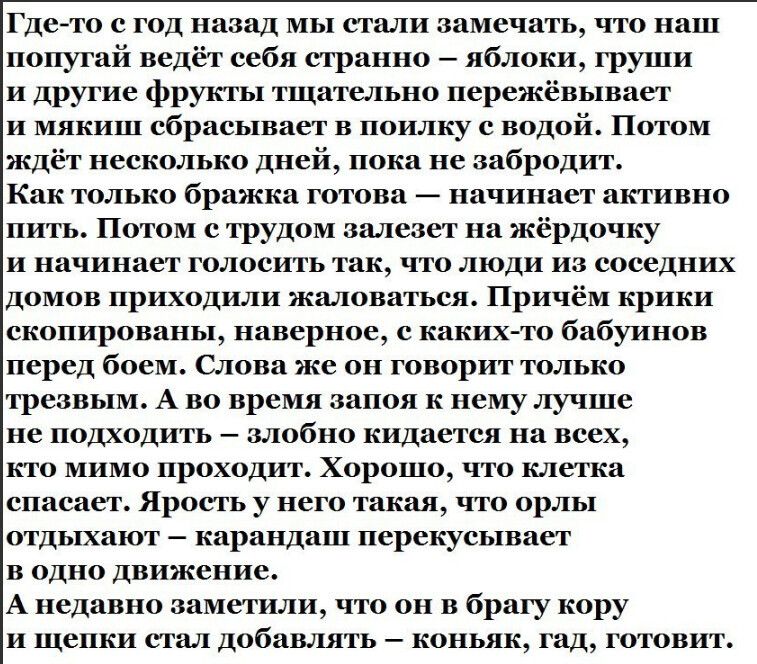 Где то а год назад мы стаи замечать что на попугай ведёт себя сгранно яблоки груши и другие фрукты тщательно пережёвываст и мини сбрасывает в но ву водой Питом ждёт несколько дней пока из забрпдиг как только брнжки югом начинает активно пить Патом трудом запишет на жёрдочку и начинает гшпшить так что люди из соседних домов приходили жаловаться Причём крики скопированы наверное с какихто бабуинов п