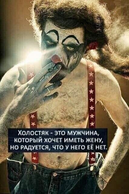 Холостяк это мужчи который хочп импь жену о дури что у ино ЕЁ НЕТ